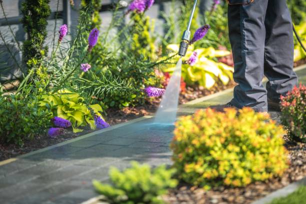 Best Animal Enclosure Cleaning  in Susanville, CA